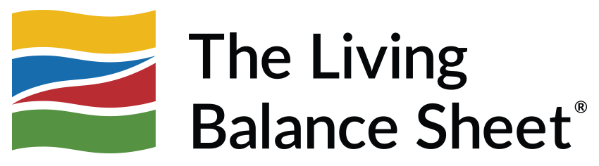 The Living Balance Sheet