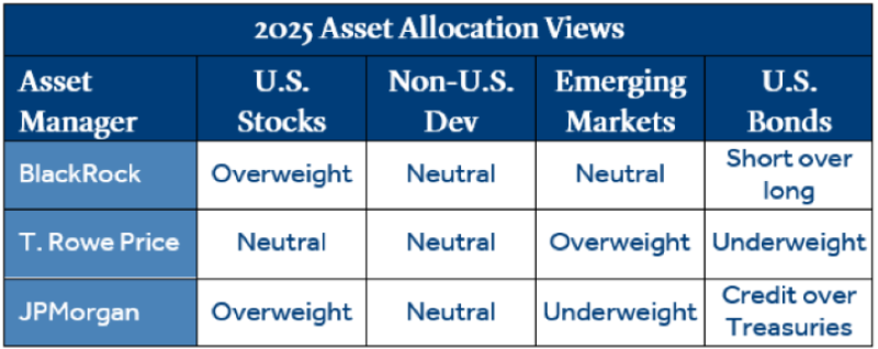 2025 Asset Allocation Views